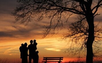 Przebaczenie po traumie – czy to konieczne do wyzdrowienia?