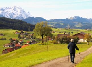 Ewa Dąbrowska Suplementy – Naturalne Wsparcie dla Organizmu