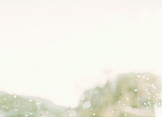 Piękno w codzienności: kosmetyczne prezenty na Dzień Mamy