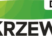 Hurtownia stomatologiczna – dlaczego jej wybór decyduje o sprawnym funkcjonowaniu gabinetu? Hurtownia stomatologiczna - dlaczego jej wybór decyduje o sprawnym funkcjonowaniu gabinetu?
