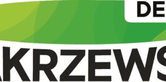 Hurtownia stomatologiczna - dlaczego jej wybór decyduje o sprawnym funkcjonowaniu gabinetu?