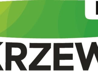 Hurtownia stomatologiczna – dlaczego jej wybór decyduje o sprawnym funkcjonowaniu gabinetu? Hurtownia stomatologiczna - dlaczego jej wybór decyduje o sprawnym funkcjonowaniu gabinetu?